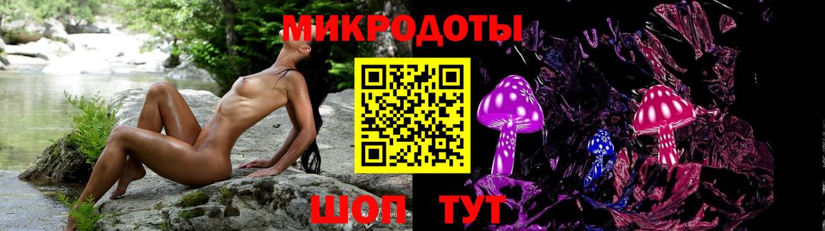 Менделеевск  Псилоцибиновые грибы Psilocybine cubensis  Вход с VPN 